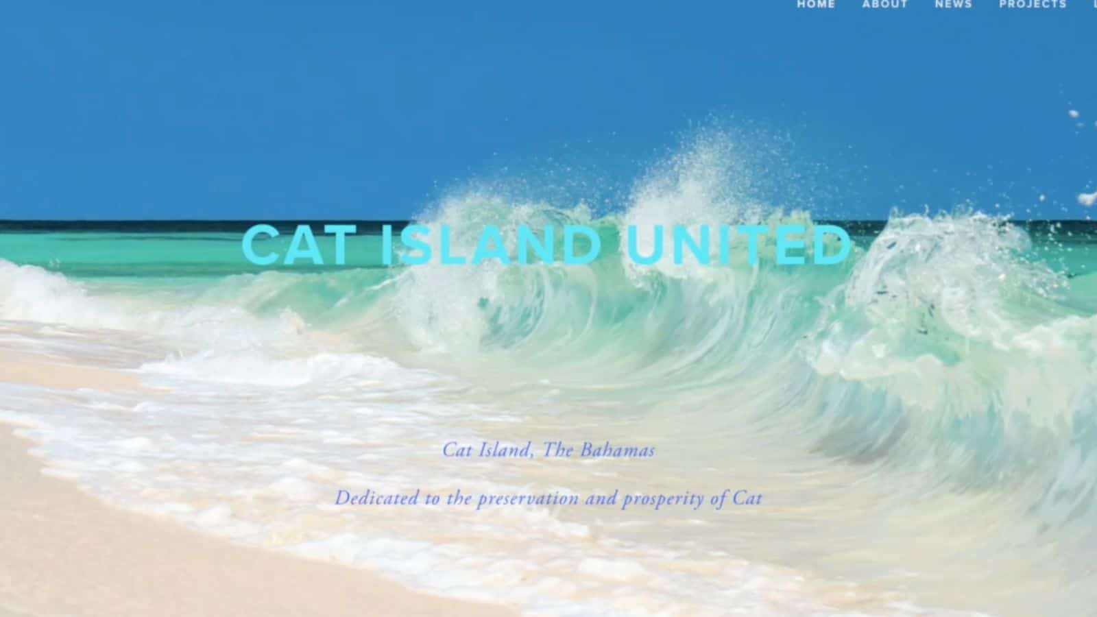 Cat Island United Nominated for International Award Our News