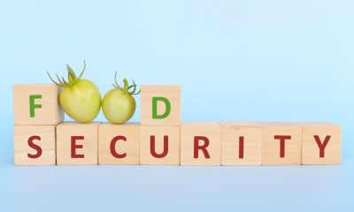 food security