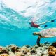 underwater snorkel