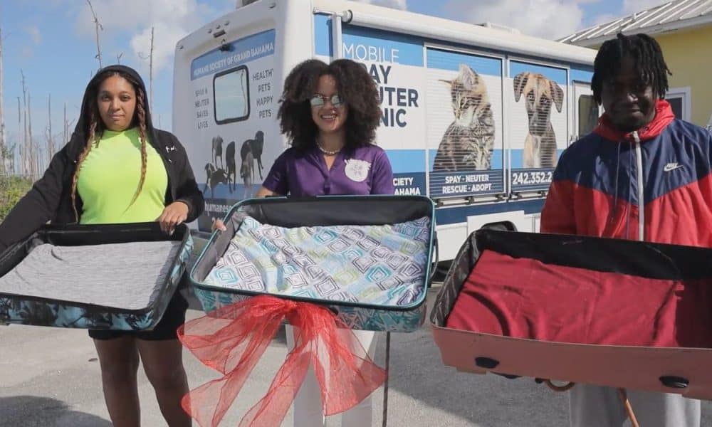 Dog Beds Donated to GB Humane Society Our News
