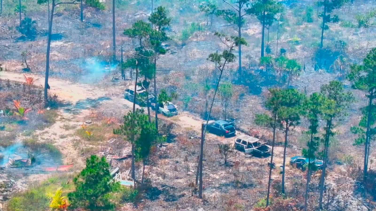 What Is The Mental Health Impact Of Wildfires? - Our News