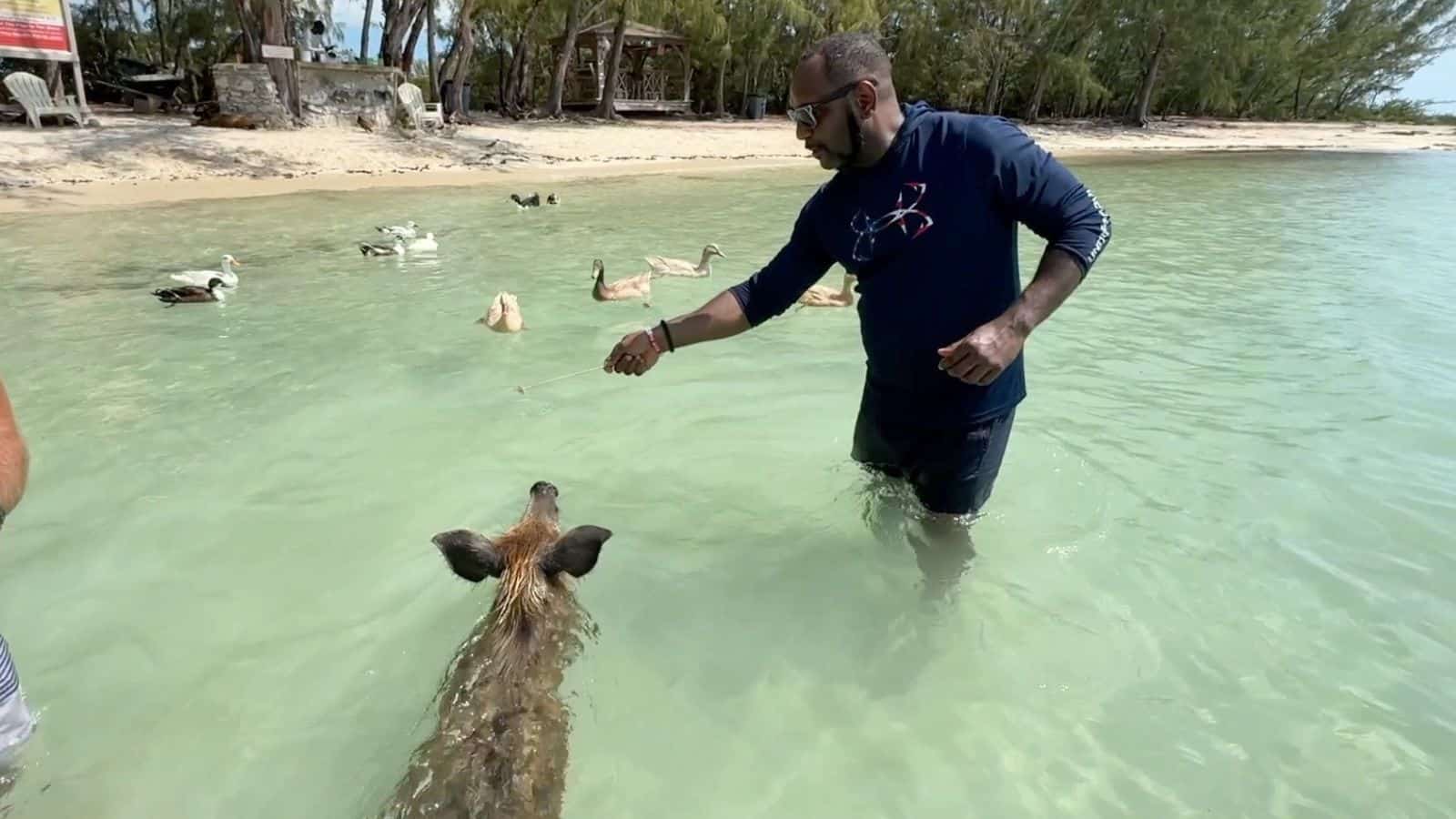 Atlantis Offers Stingrays, Swings, And Swimming Pigs In Spanish Wells