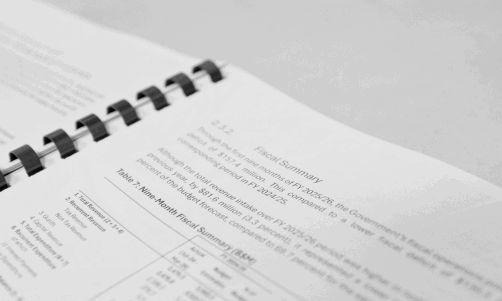 Fiscal Responsibility Council Makes Recommendations on Government Debt Projections and PPP Disclosures